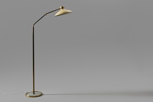 Adjustable Floor lamp