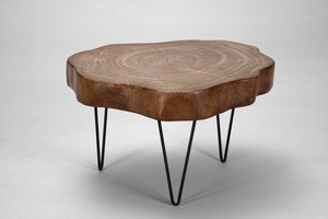 "Tree trunk table"