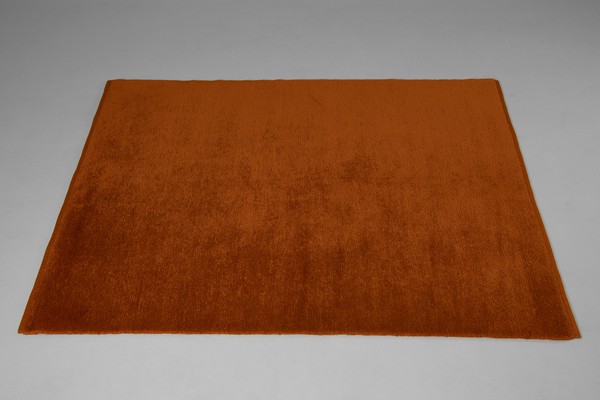 Double Sided Carpet