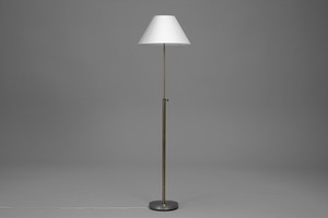 Extendable Floor Lamp